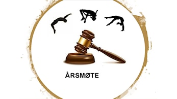ÅRSMØTE
